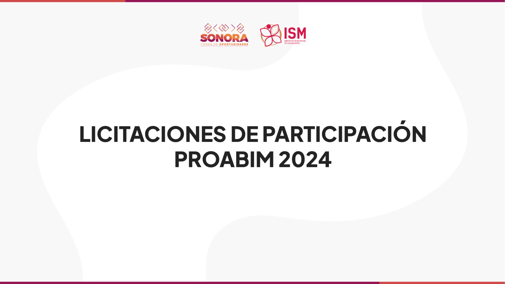 Bases de participación PROABIM 2024